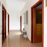 Mila Apartament Pag Town